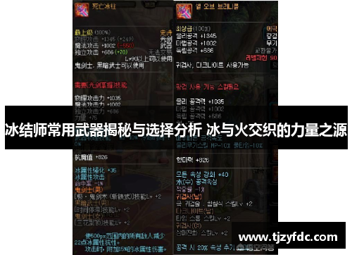 冰结师常用武器揭秘与选择分析 冰与火交织的力量之源