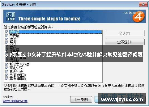 如何通过中文补丁提升软件本地化体验并解决常见的翻译问题